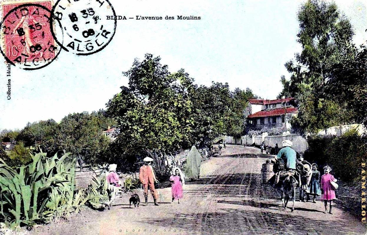 Blida - Avenue des Moulins_2.jpg